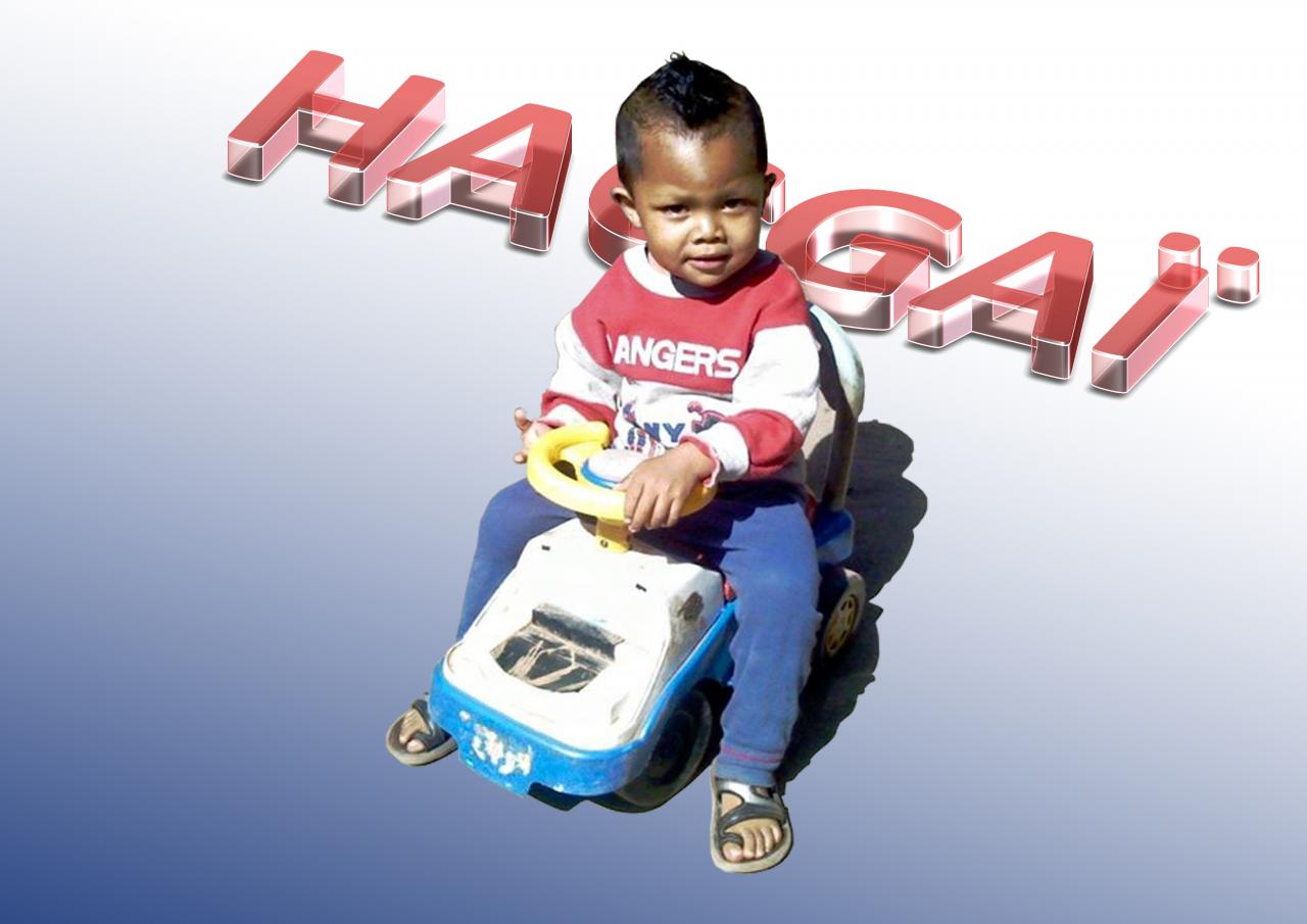 Haggai 2,9 ans